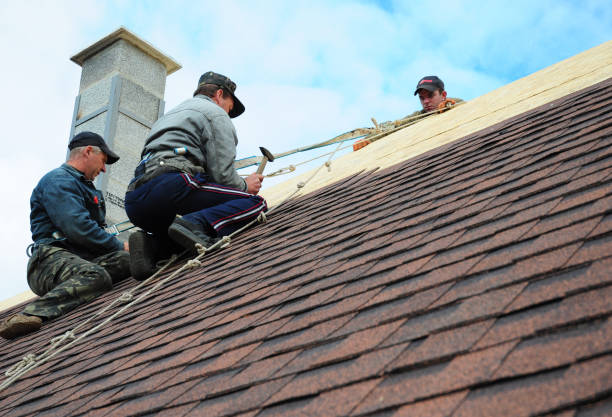 Best Shingle Roofing Installation  in Bell Nyon, CA